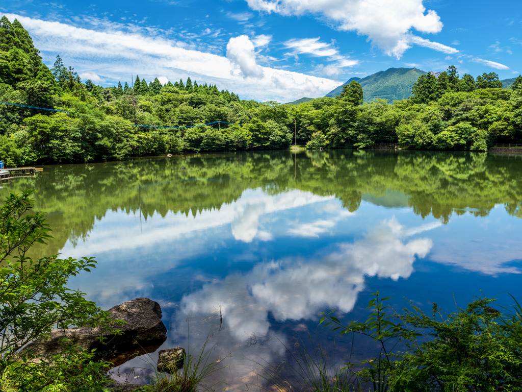 行きつけの池で避暑