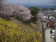 遠景にお城を望む