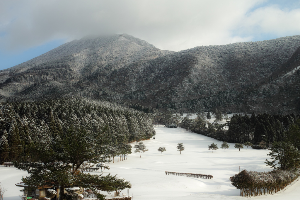 雪山を望む