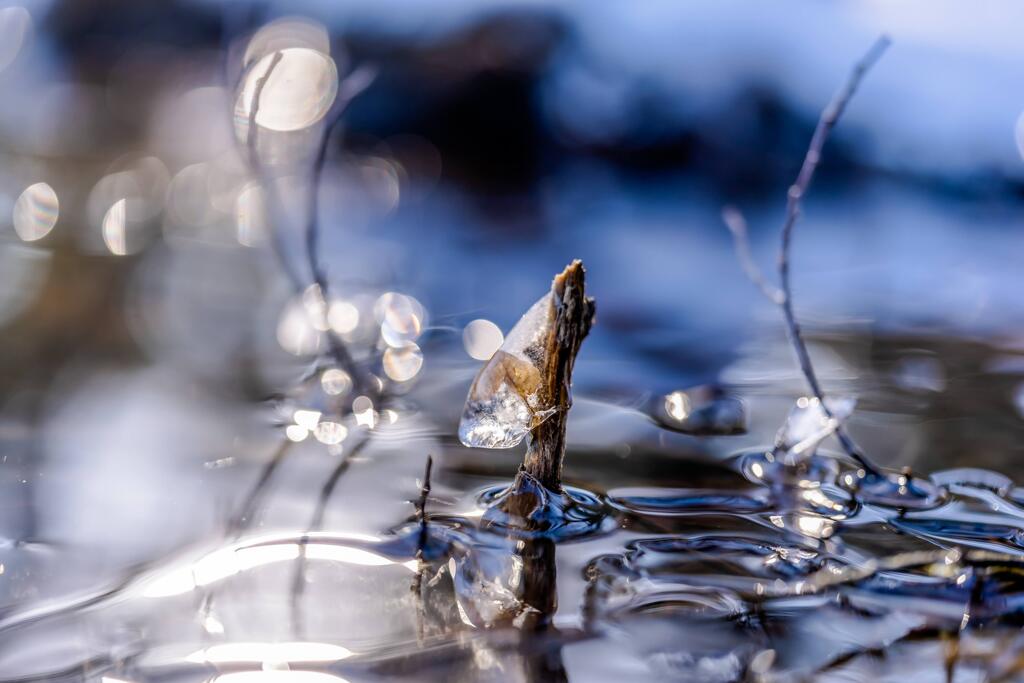 寄り添うかたち