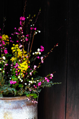 Modeling of flowers