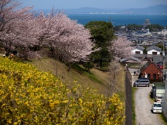 お城を望む
