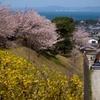 お城を望む