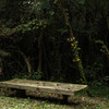 DeepForest ＆NatureBench