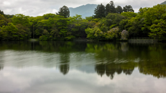 湖畔の風景