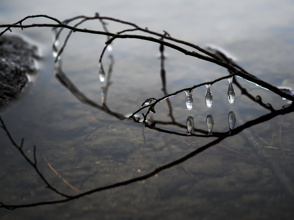 ICE DROP