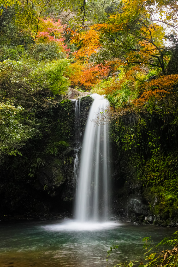 薄紅葉と滝