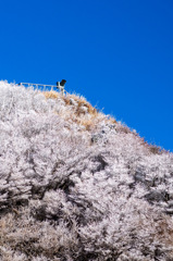氷の上の望遠鏡