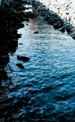 水路