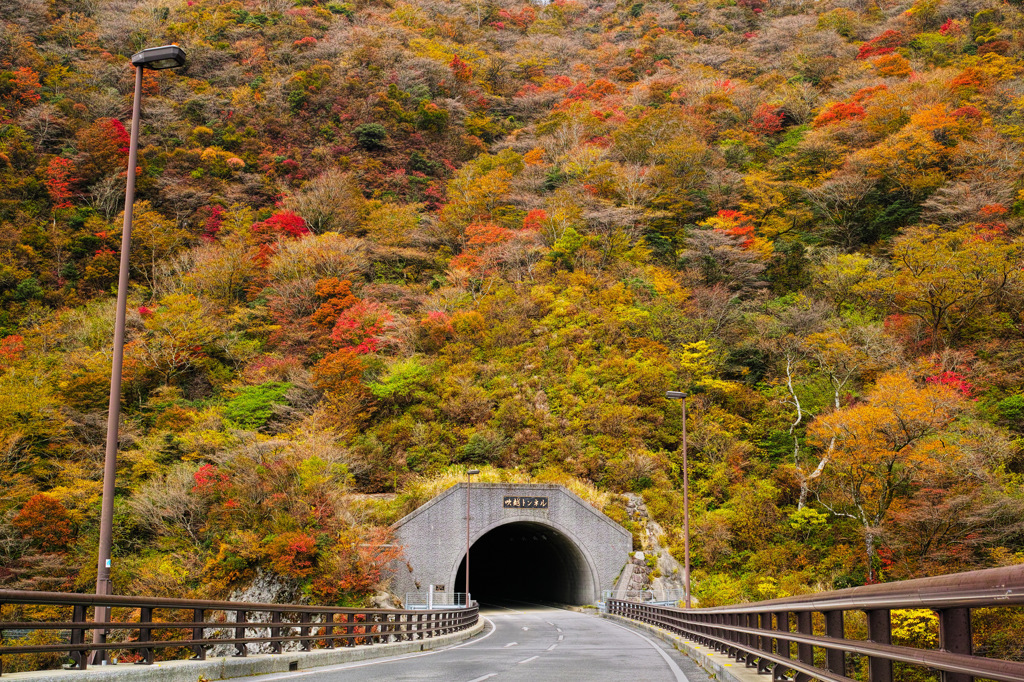 彩のトンネル