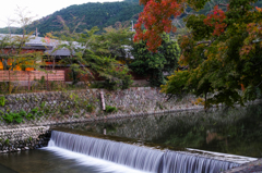 初秋の嵐山