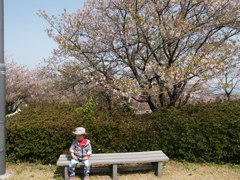 ちょこん