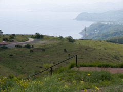 小高い山の上から