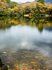 白雲の池の秋