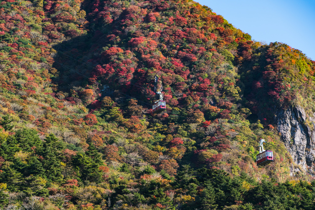 秋色を背景に
