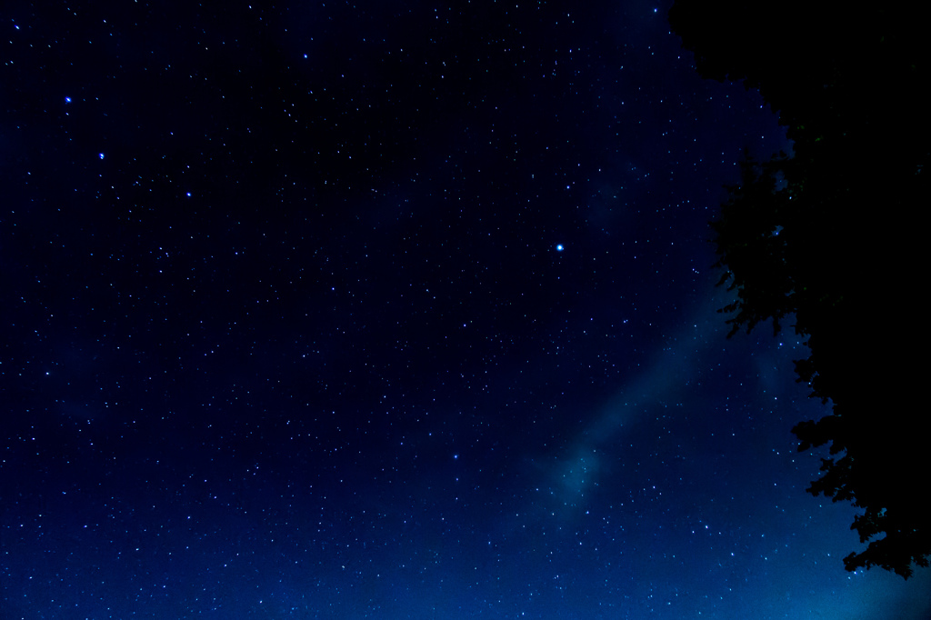 夜空を見上げて