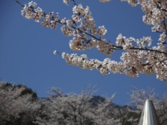 雲一つない