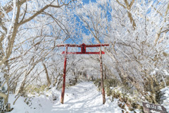 妙見神社 冬の鳥居