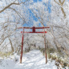 妙見神社 冬の鳥居