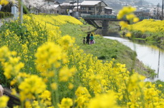 Spring has come! 04