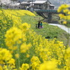 Spring has come! 04