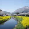 由布岳と大分川