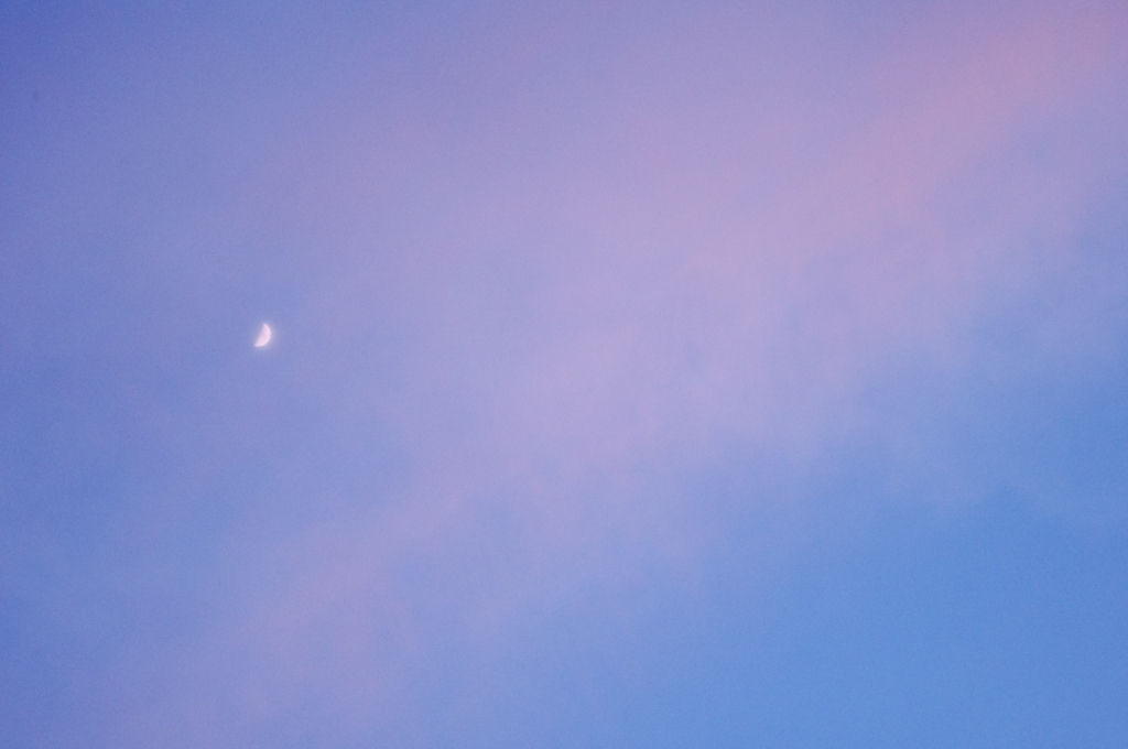 moon...? 