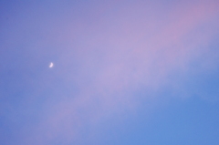 moon...? 