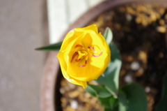 IMGP0689