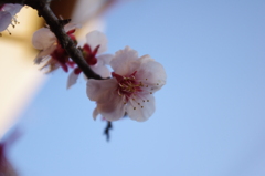 IMGP0670