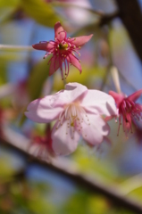 IMGP0749