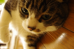 今日はもう家にいる