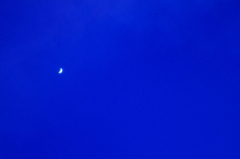 blue