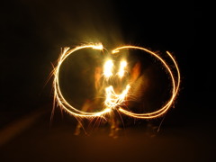 2011_071320080060