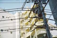 電柱と電線