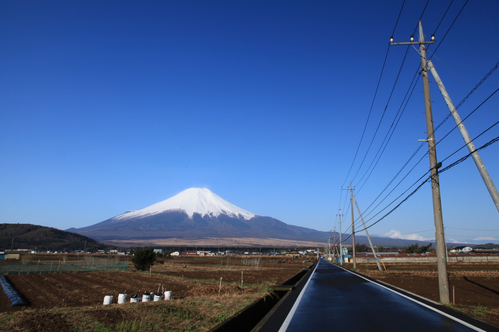 富士山