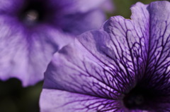 Natural Color
