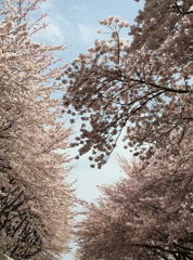 塀の中と外