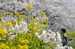 花の森へ