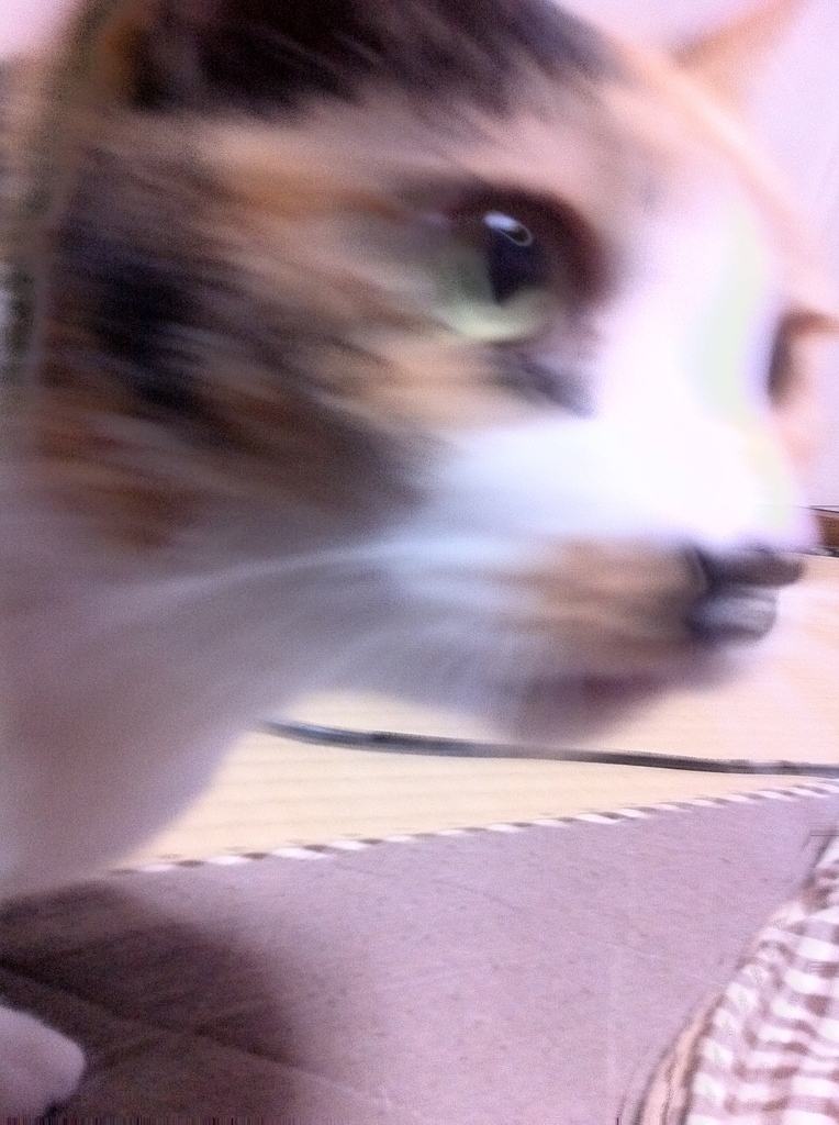 狙い
