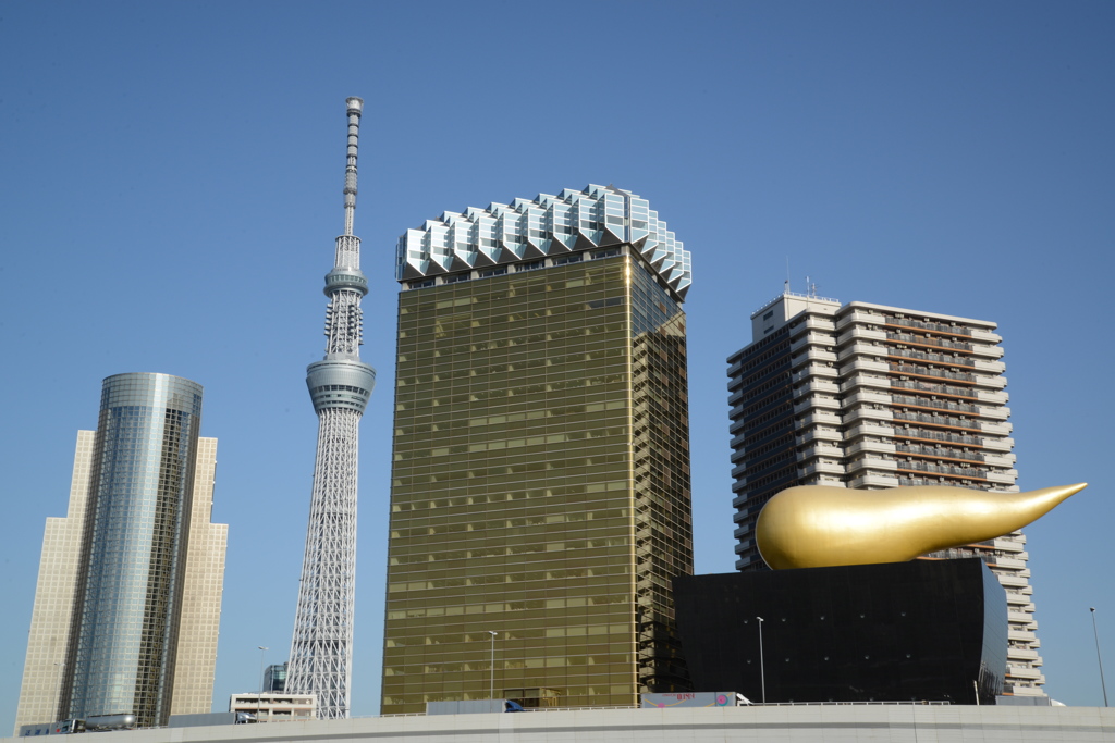 来たよ〜