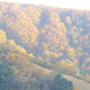 照場の紅葉