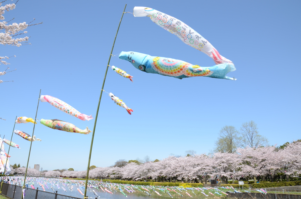空泳ぐ