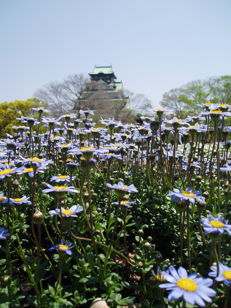 大坂華の陣