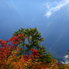 山の秋
