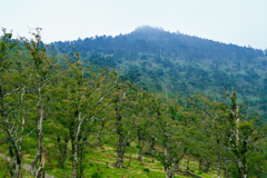 霊山