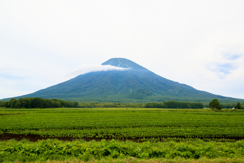 後方羊蹄山