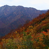 秋の彩　荒沢岳