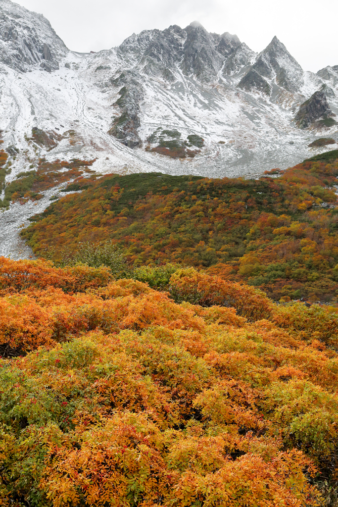 涸沢岳と紅葉