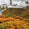 涸沢岳と紅葉